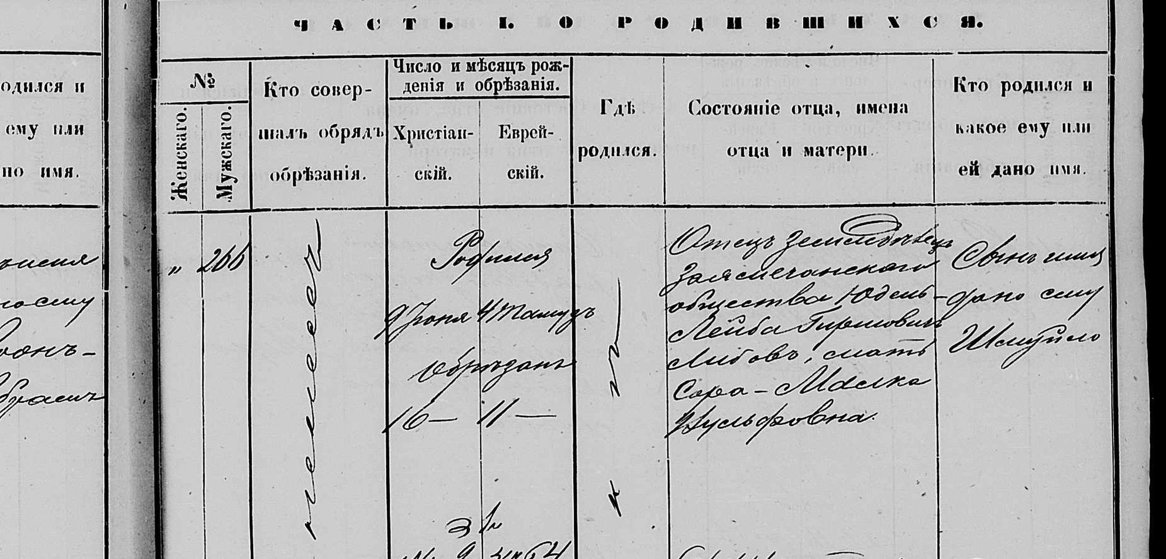 Minsk Jewish birth register entry 266, 1882, recording the birth of Shmuilo (Sam) Libov; the mother is named Sora-Malka Vulfovna, that is, Sora-Malka, daughter of Vulf.