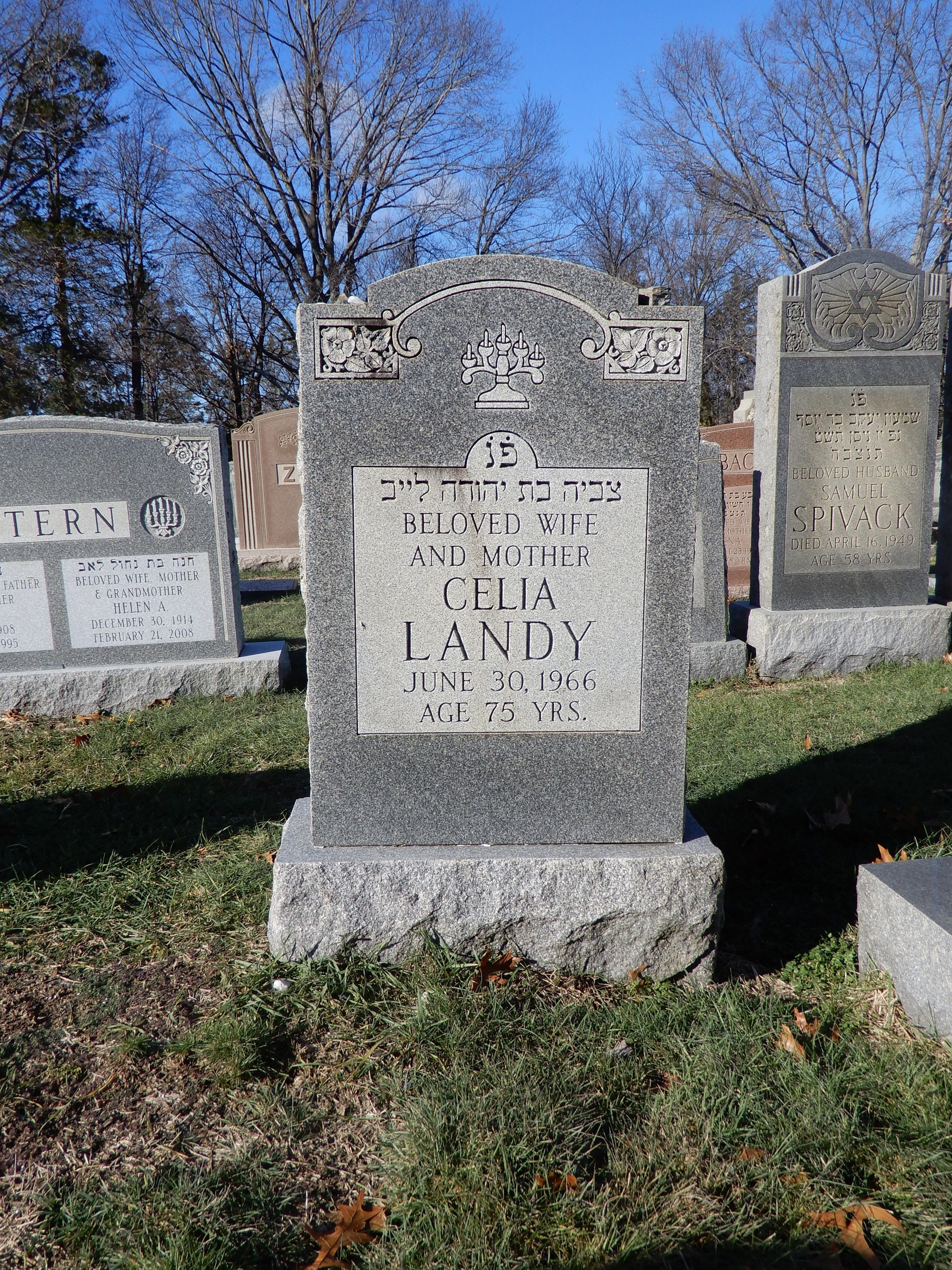 Tombstone of Celia Landy in Stepiner Cemetery, West Roxbury, Massachusetts; the Hebrew inscription reads Tzvia bat Yehuda Leib